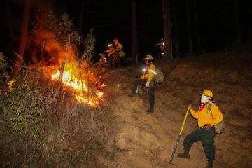 Brigadistas municipales culminan etapa de prevención de incendios forestales 